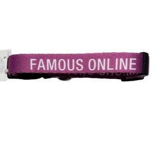 About Face Designs Famous Online Adjustable Dog Collar